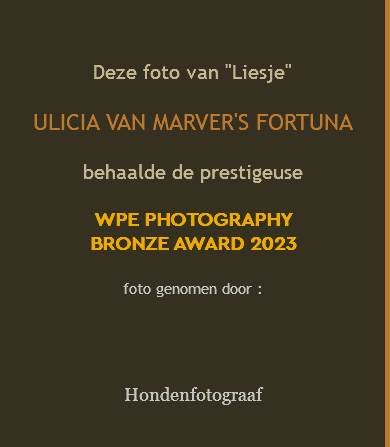  Deze foto van "Liesje" ULICIA VAN MARVER'S FORTUNA behaalde de prestigeuse WPE PHOTOGRAPHY BRONZE AWARD 2023 foto genomen door : Hondenfotograaf 