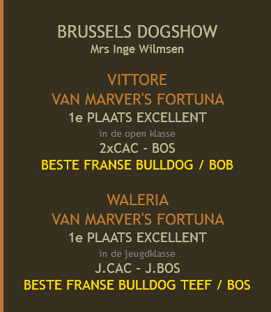  BRUSSELS DOGSHOW Mrs Inge Wilmsen  VITTORE VAN MARVER'S FORTUNA 1e PLAATS EXCELLENT in de open klasse 2xCAC - BOS BESTE FRANSE BULLDOG / BOB WALERIA VAN MARVER'S FORTUNA 1e PLAATS EXCELLENT in de jeugdklasse J.CAC - J.BOS BESTE FRANSE BULLDOG TEEF / BOS